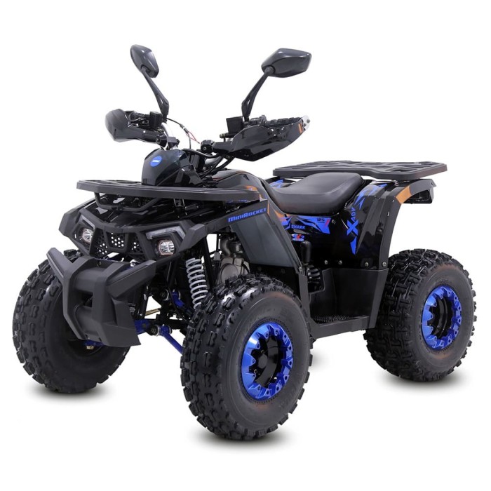 Atv 125cc Tao Shark 8&amp;quot; semi-automat 4T benzina albastru