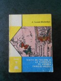 J. LUCAS DUBRETON - VIATA DE FIECARE ZI LA FLORENTA PE VREMEA FAMILIEI MEDICI