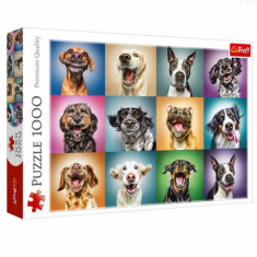 Puzzle modern Cateii veseli 1000 piese, model Premium foto