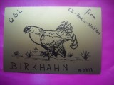 HOPCT 15134 BIRKHAHN [ COCOS DE MUNTE ] -GERMANIA--CARTE POSTALA RADIO AMATOR / RADIOAMATORI CARICATURA -CIRCULATA