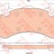 Set placute frana,frana disc AUDI A6 (4G2, C7, 4GC) (2010 - 2016) TRW GDB1911