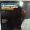 Vinil LP # &quot;Japan Press&quot; The Cannonball Adderley Quintet &lrm;&ndash; Great Love Themes (VG+)