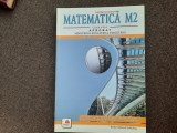MATEMATICA MANUAL CLASA A XI A M2 MARIUS BURTEA FOARTE BUNA