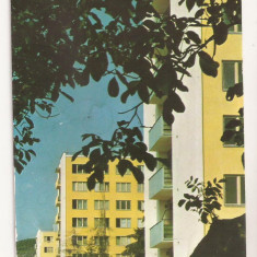 Carte Postala veche Romania - Cluj - Vedere din Cluj, Circulata 1965