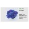 Blo.Hortensia Early Blue 28