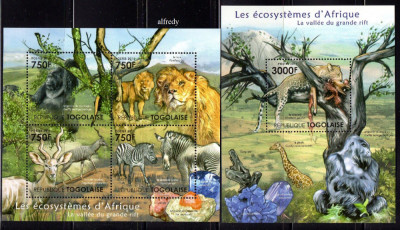 TOGO 2011, Fauna, serie neuzata, MNH foto