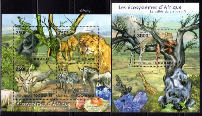 TOGO 2011, Fauna, serie neuzata, MNH