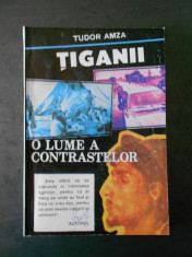 TUDOR AMZA - TIGANII * O LUME A CONTRASTELOR foto