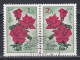 Ungaria 1961 - Trandafiri, Stampilat