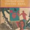 Crizanteme pentru Erna - Theodor Constantin