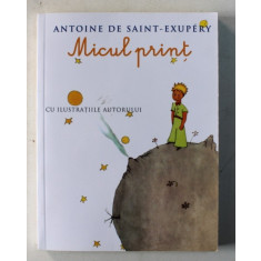 MICUL PRINT de ANTOINE DE SANT EXUPERY , 2013