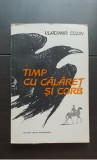 Timp cu călăreț și corb - Vladimir Colin