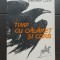 Timp cu călăreț și corb - Vladimir Colin
