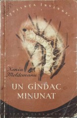 UN GANDAC MINUNAT-XENIA MOLDOVEANU foto