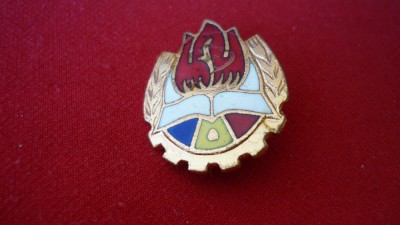 INSIGNA PIONIER foto