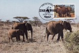 C1120 - Uganda - fauna - carte postala maxima