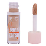 Concealer Corector Ushas #10