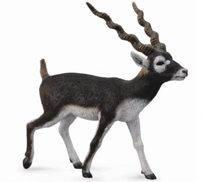 Figurina pictata manual Antilopa Blackbuck foto