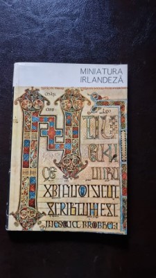 MINIATURA IRLANDEZA - VIRGINIA CARIANU foto