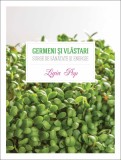 Germeni si vlastari - Curtea Veche