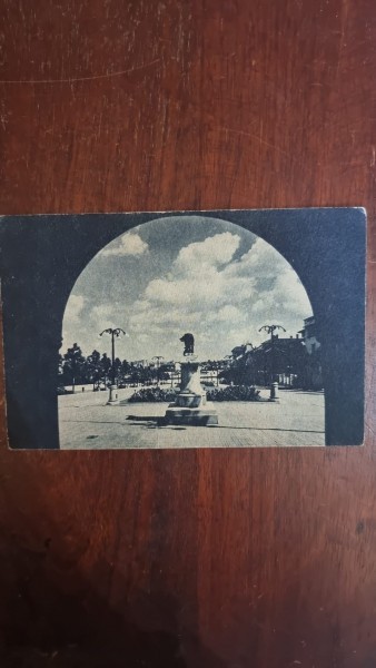 Carte Postala - Bucuresti. Aleea Mitropoliei