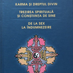 Karma Si Dreptul Divin Trezirea Spirituala Si Constiinta De S - Ovidiu-dragos Argesanu ,560274