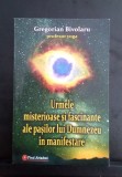 Urmele misterioase și fascinante ale pașilor lui Dumnezeu &icirc;n manifestare - Gregorian Bivolaru