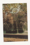 FA48-Carte Postala- RUSSIA- Leningrad, palatul Petrodvorets, Fantana Soare, Necirculata, Fotografie