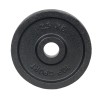Greutate fier inSPORTline Top Sport Castyr 2,5kg/30mm,