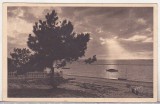 bnk cp Cayeux-sur-Mer - Plaja Brighton - circulata spre Romania