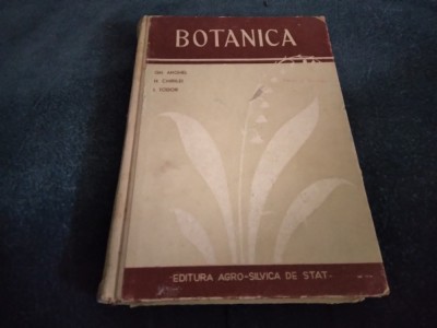 GH ANGHEL - BOTANICA 1956 foto