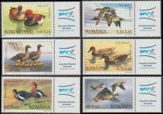 2007 Romania - Rate si gaste salbatice LP 1771 b, serie cu vigneta dreapta MNH foto