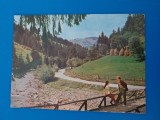 CPIB 23197 CARTE POSTALA - VALEA ARIESULUI, JUD. ALBA, CIRCULATA, 1977, STAMPILE, TIMBRU