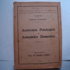 Anatomia patologica a animalelor domestice (partea II) - Viorel Ciurea