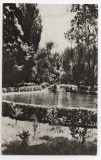 CPI B 11031 CARTE POSTALA - ROMAN. VEDERE DIN PARC, Circulata, Fotografie