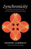 Synchronicity: Nature and Psyche in an Interconnected Universe