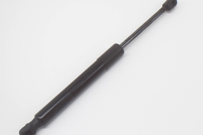 Amortizor haion st&acirc;nga TESLA MODEL 3 2019 OEM: 1091560-00-B 12645113