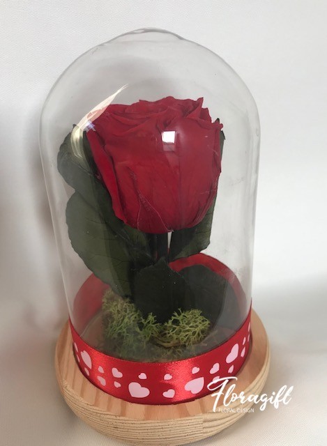 Trandafir criogenat rosu- Valentine Trandafir criogenat rosu- Valentine