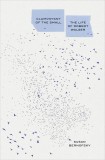Clairvoyant of the Small | Susan Bernofsky, Yale University Press