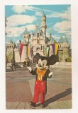 FA125 -Carte Postala- SUA - Disneyland. It all started with a mouse, necirculata