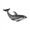Figurina Delfin de Pacific cu lateralele albe M Collecta