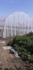Schelet Solar profesional din teava zincata TZ6 /14 m foto