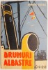 Drumuri Albastre - Dionisie Sincan - Roman Beletristica