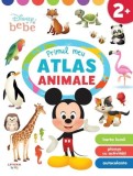 Primul meu atlas - Animale - Paperback - Litera mică