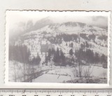 bnk foto Borsa - anii `70