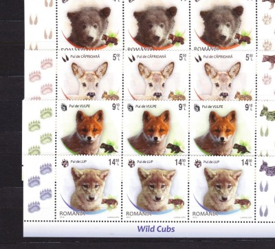 DB Romania 2012 Pui de animale salbatice serii straif inferior MNH foto