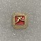 Insigna rusia