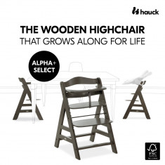 Scaun de masa Hauck Alpha Charcoal