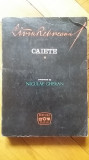 Liviu Rebreanu - Caiete (Niculae Gheran, ed.) Rebreniana jurnal schite amintiri