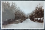 Carte postala, Sfantul Gheorghe, Parcul, 1930